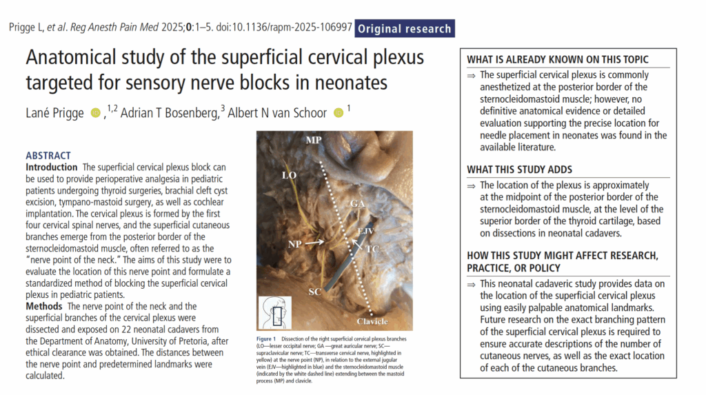 Anatomical insights into the superficial cervical plexus in neonates