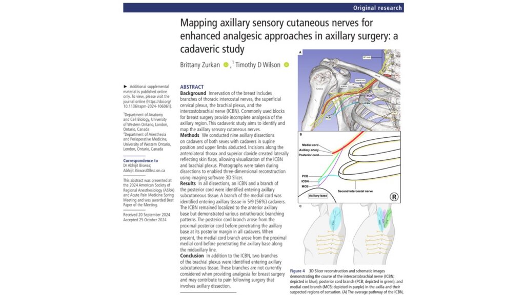 Axillary sensory innervation beyond the intercostobrachial nerve: implications for regional anesthesia in breast surgery